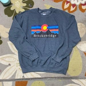 Gildan Breckenridge sweatshirt, gray